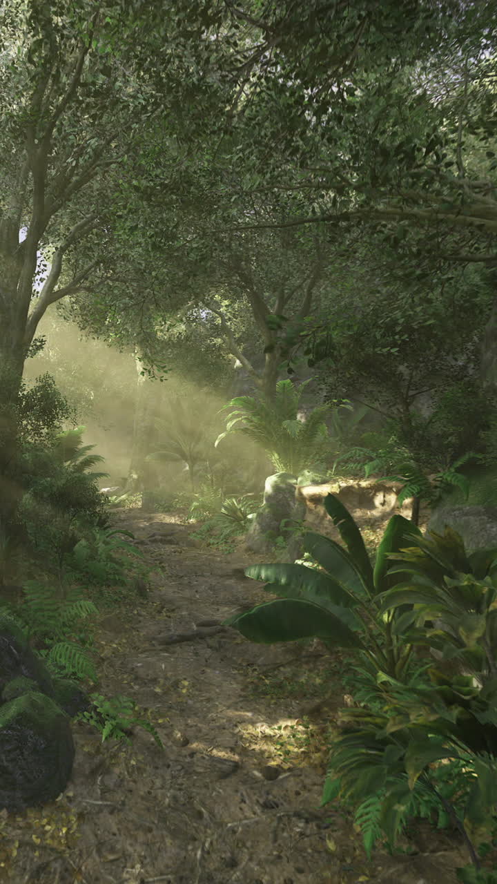 La luce del sole danza attraverso il verde lussureggiante in un incantevole sentiero nel bosco.