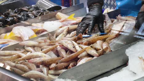 trabajadores clasificando pescado en el mercado de melbourne