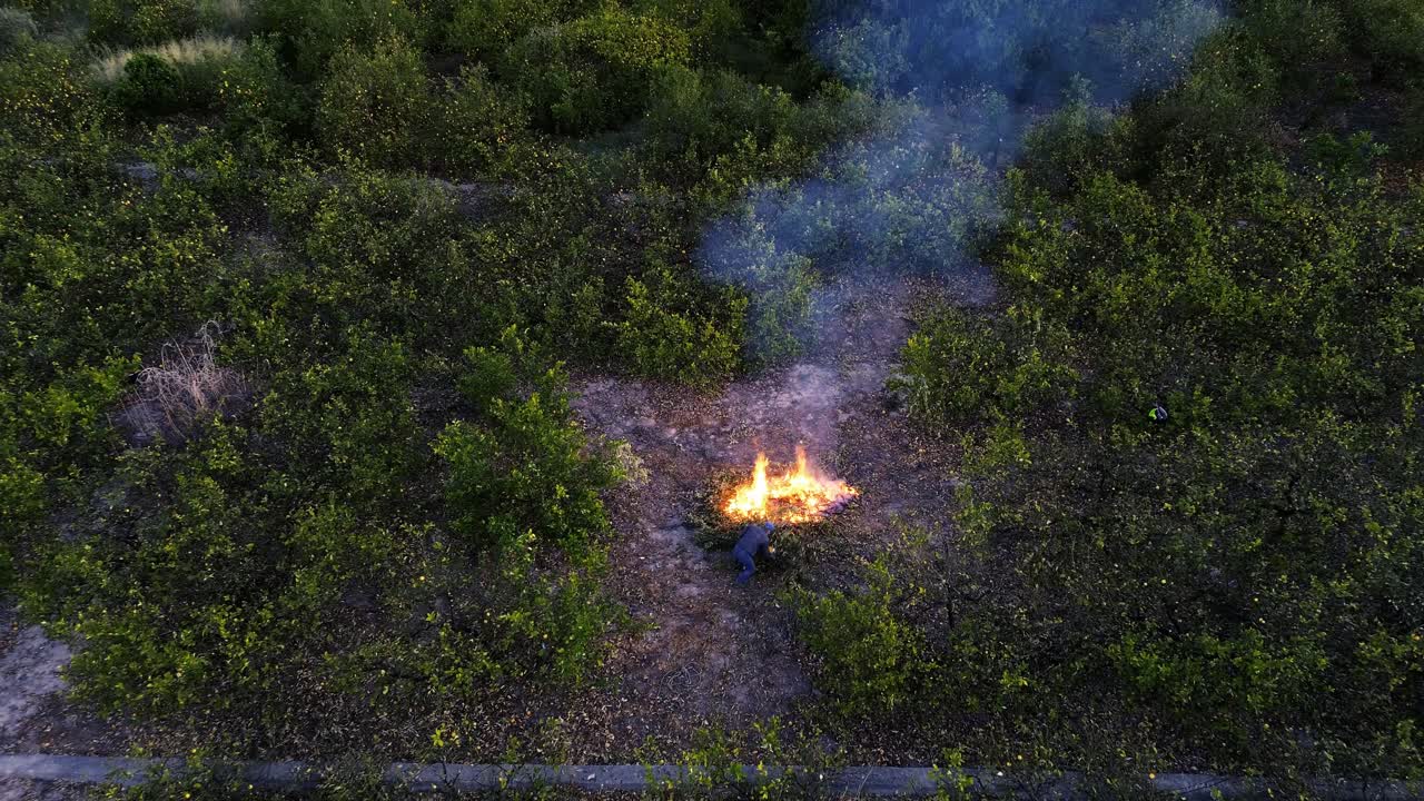 incendio en el campo de agricultura de limón