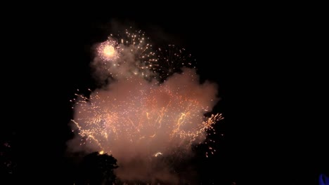 espectáculo de fuegos artificiales rojos y blancos en cámara lenta