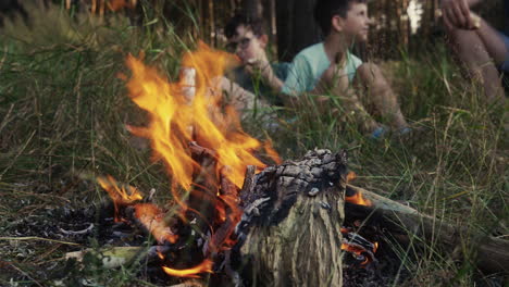 gezin kamperen in het bos