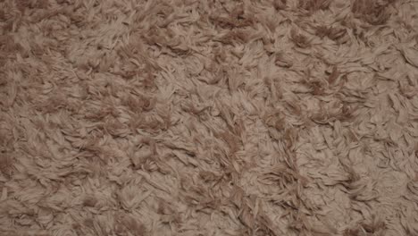 slow zoom in background back drop material organic large brown alpaca fluffy cotton wool rug texture soft luxurious warm hairy fur