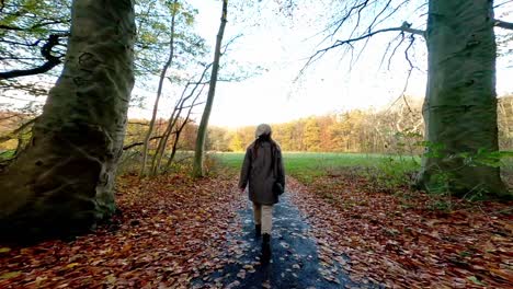 Otoño-En-El-Parque-Foundel-De-Amsterdam