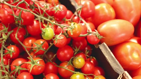 various tomatoes on display at melbourne market