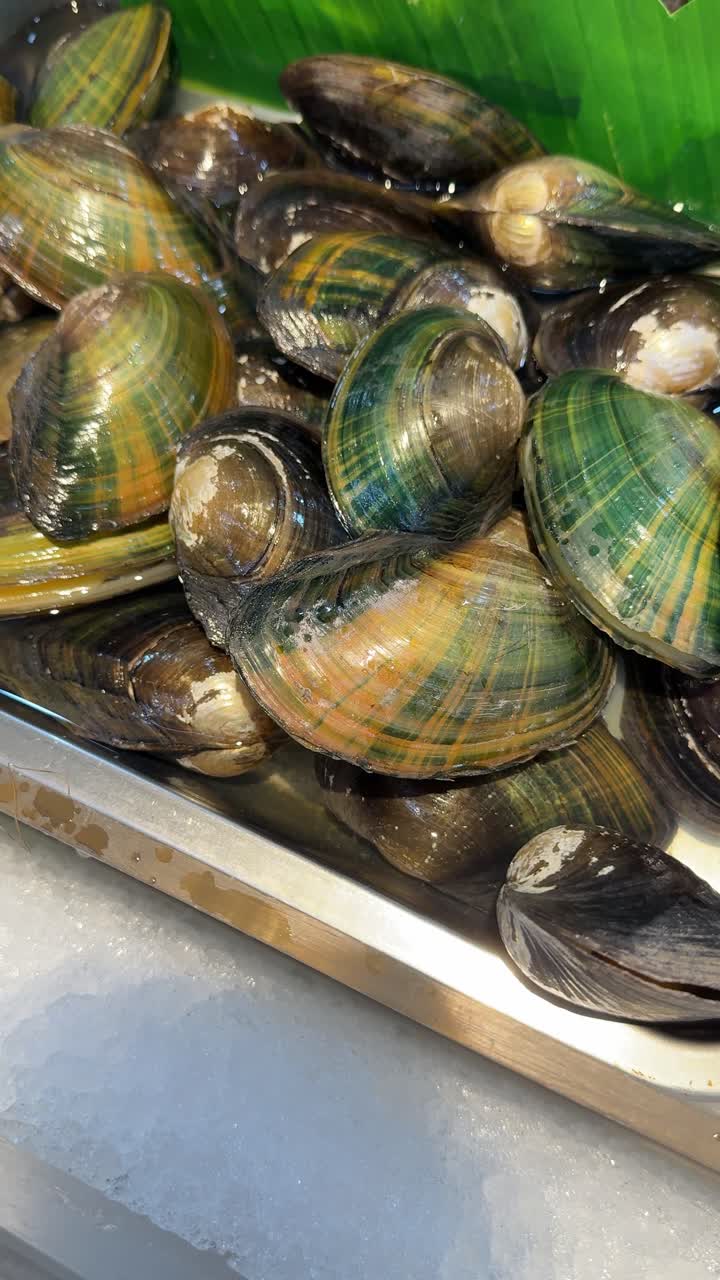 Fresh Striped Clams on Ice in a Market Display