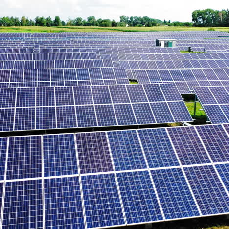 aerial view top view on blue solar pannels. alternative energy. green energy concept. electricity production