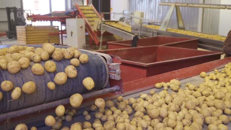 Kartoffellager-,-Verpackungs--Und-Verarbeitungsanlage.