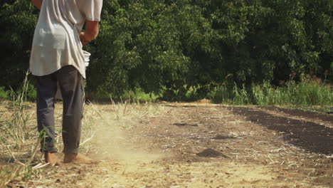 Young-boy-walking-through-orchard-covering-the-soil-with-powdered-fertilizer