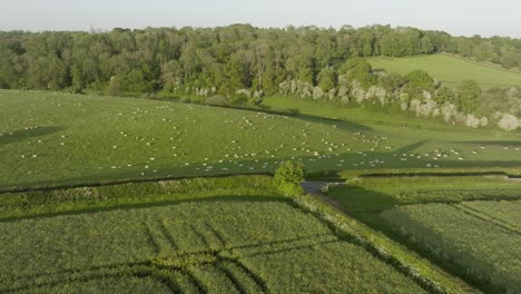 Campo-De-Ovejas-Yanworth-Cotswolds-Primavera-Paisaje-Aéreo-Paisaje-Uk