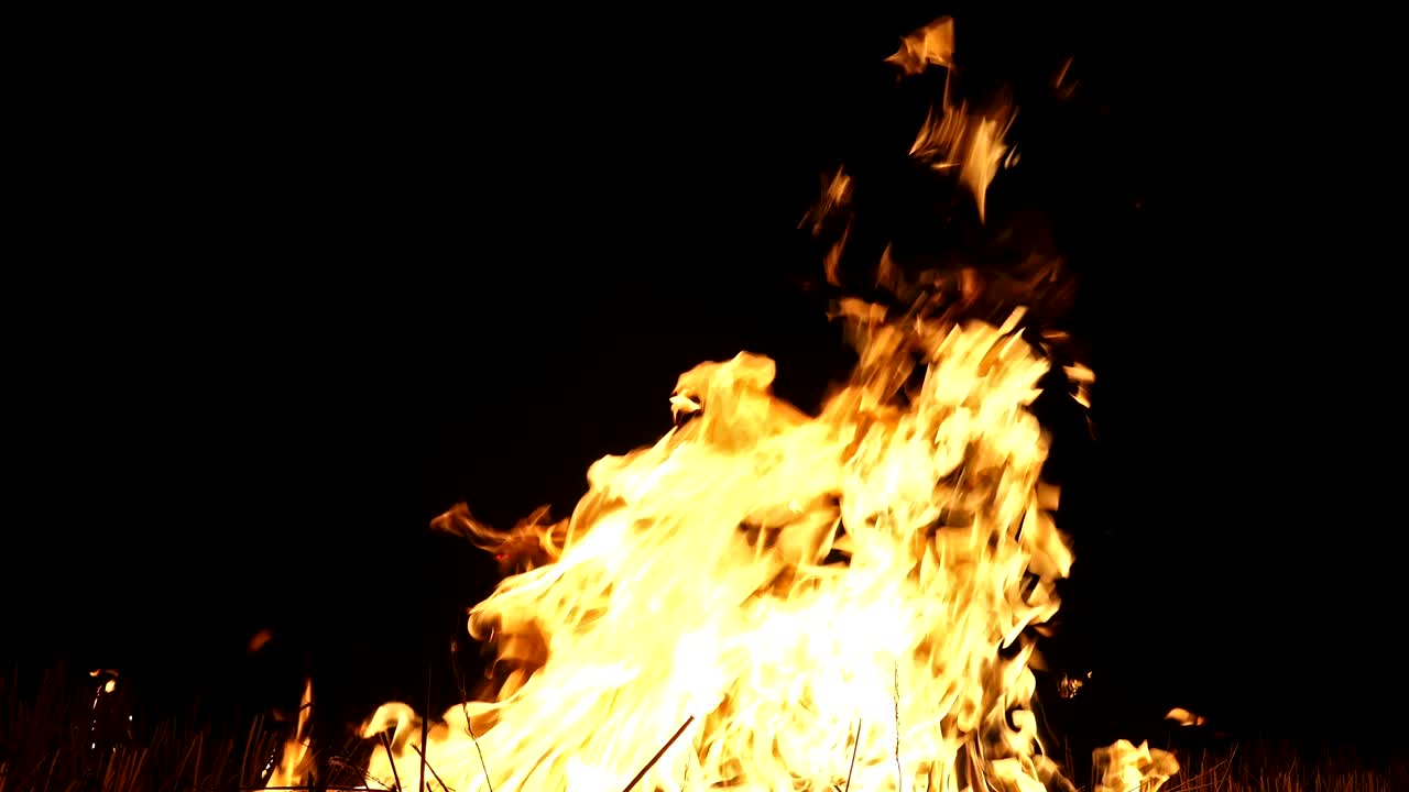 el bucle de quema de fuego. alfa mate de fondo negro. uhd video de stock