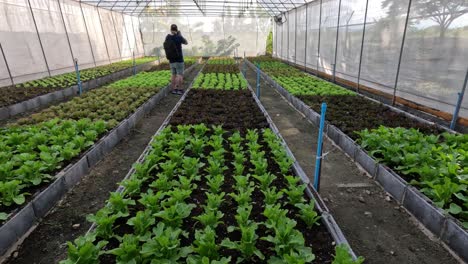 time-lapse of plants growing in a greenhouse.