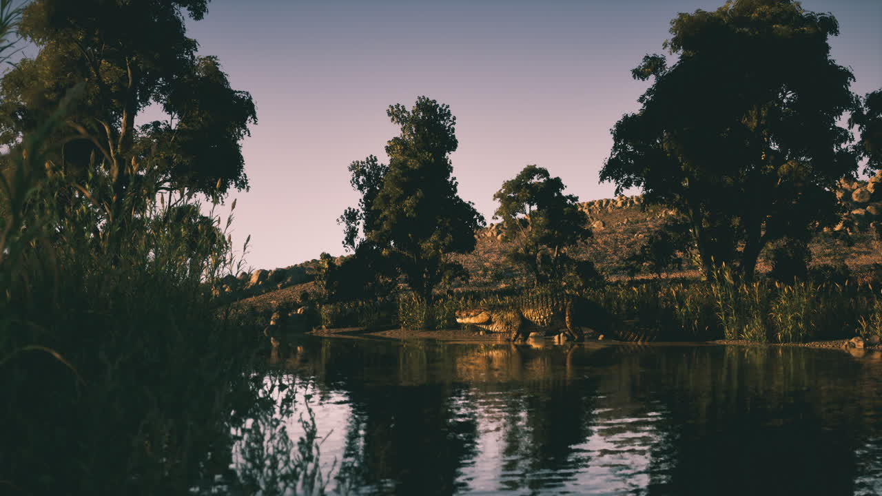 Crocodile resting on riverbank surrounded by lush vegetation at dusk