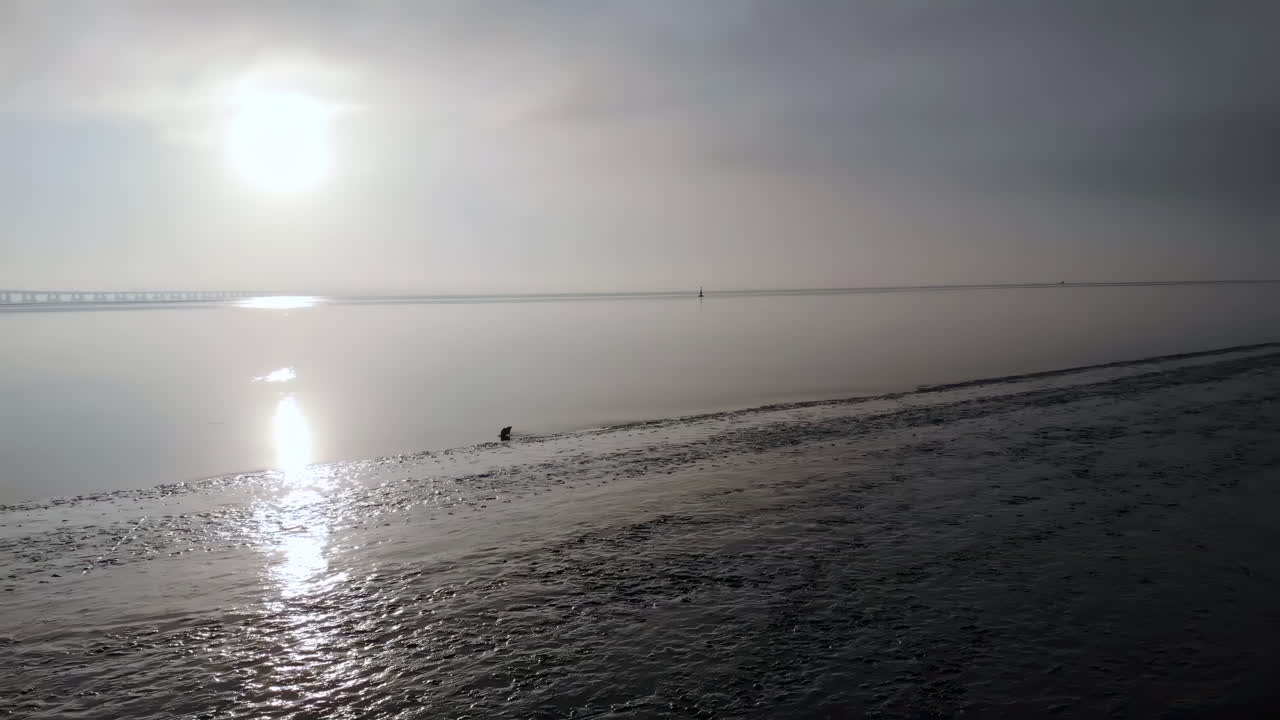 The Vasco da Gama cable-stayed bridge flanked by viaducts that spans the Tagus River in Parque das Nacoes in Lisbon