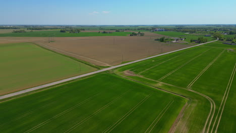 aerial - drone flying across green fertile fields on sunny day