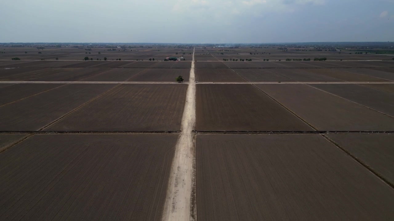 Long straight dirt road cutting through vast flat agricultural land under a clear sky. Person on road near a lone tree. Lovely aerial view descending drone panorama