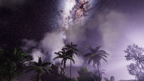 milky way galaxy over tropical rainforest.