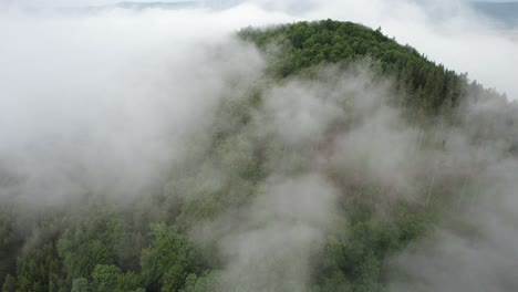 Aerial-orbit-over-the-summit-of-the-mountain-on-a-misty-day---the-forest-is-producing-clouds-by-a-natural-condensation-process