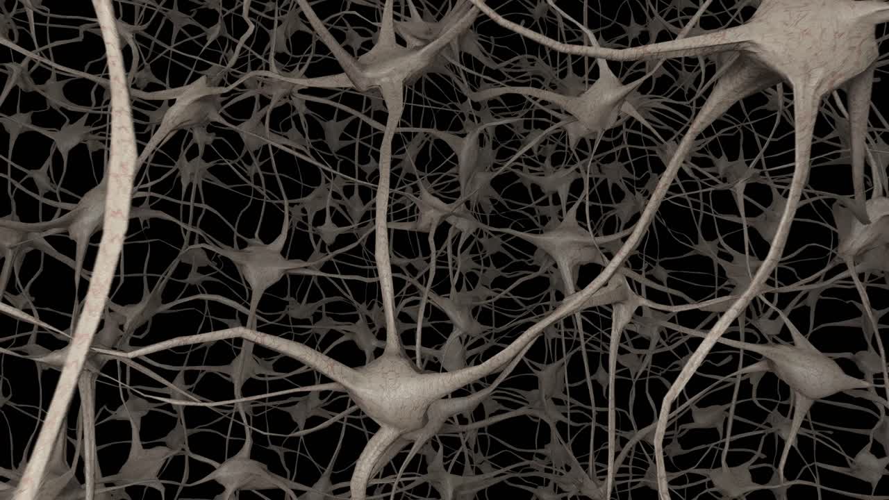 neuronas cerebro mente axón pensamiento red neuronal dendrita célula ciencia de la salud 4k