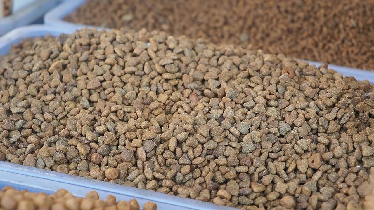 Nahaufnahme von trockenem Tierfutter in einem Behälter.