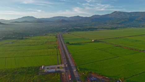 Duarte highway crossing green rice fields at sunset, Bonao area, Dominican Republic. Aerial drone circling