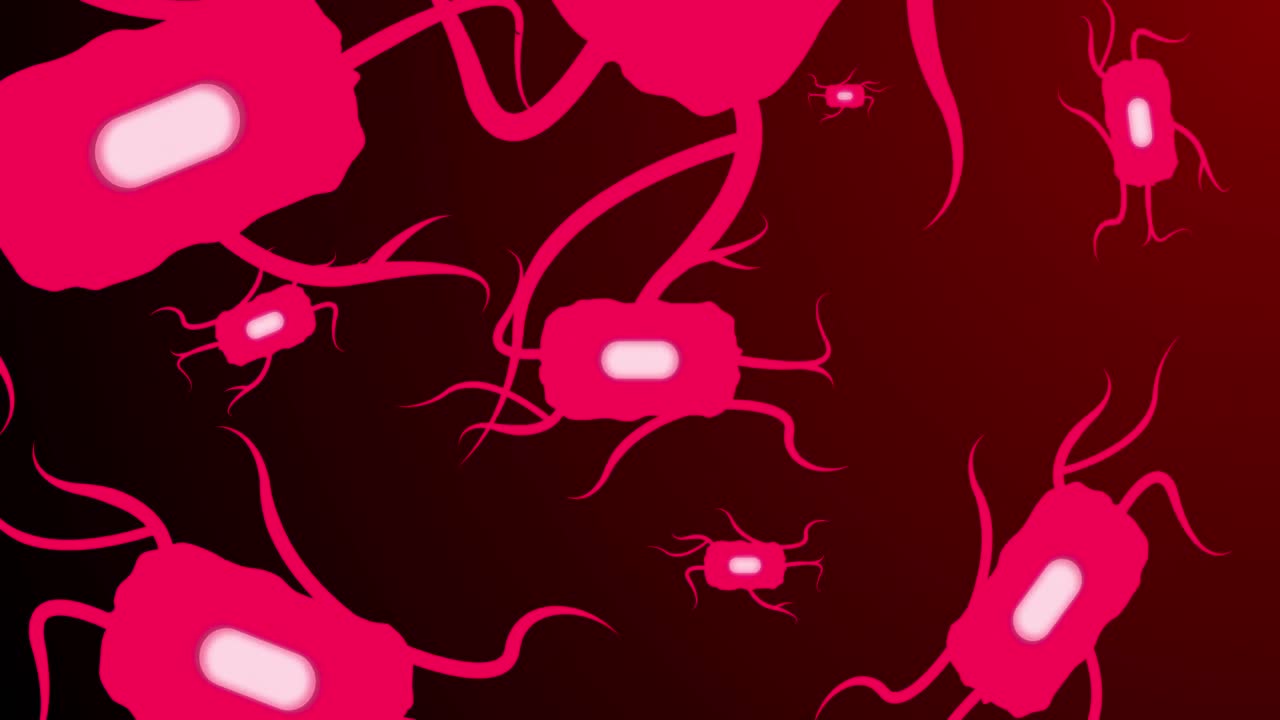 Animation of red cells moving on dark red background