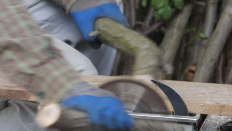 cutting tree branches on saw blade.