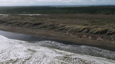 Playa-De-La-Costa-Oeste-De-Nueva-Zelanda-Mirando-Hacia-Atrás-A-Los-Humedales