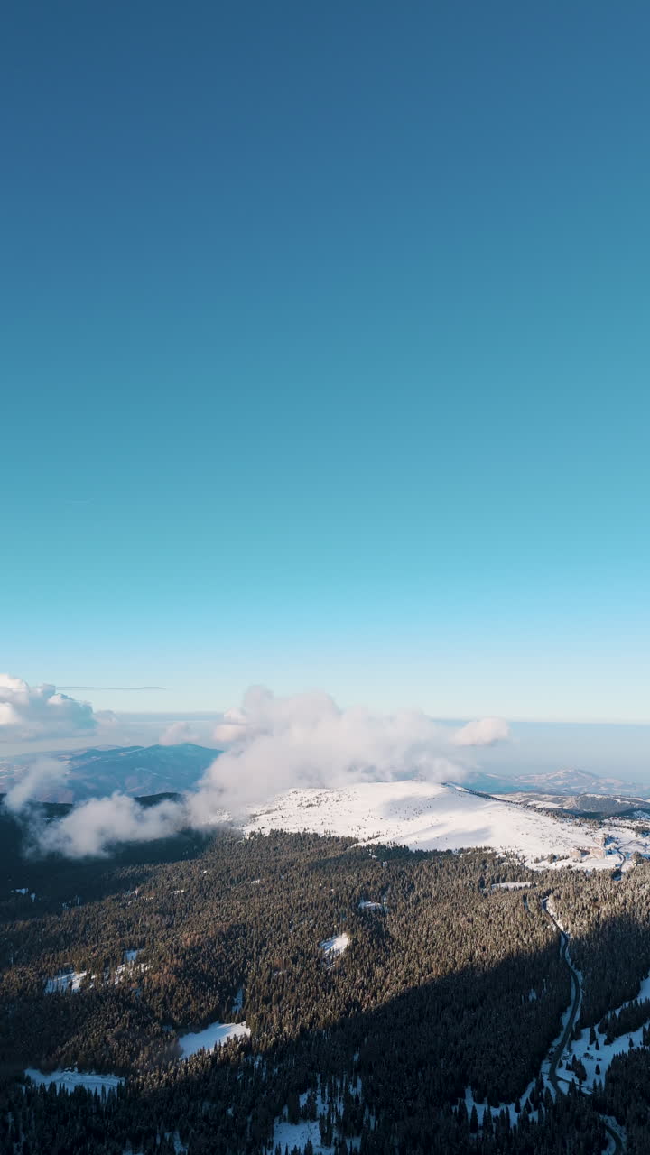 Ripresa aerea verticale con drone di un paesaggio montano invernale che mostra una pineta scura in ombra in contrasto con le cime innevate illuminate dal sole sotto un cielo blu