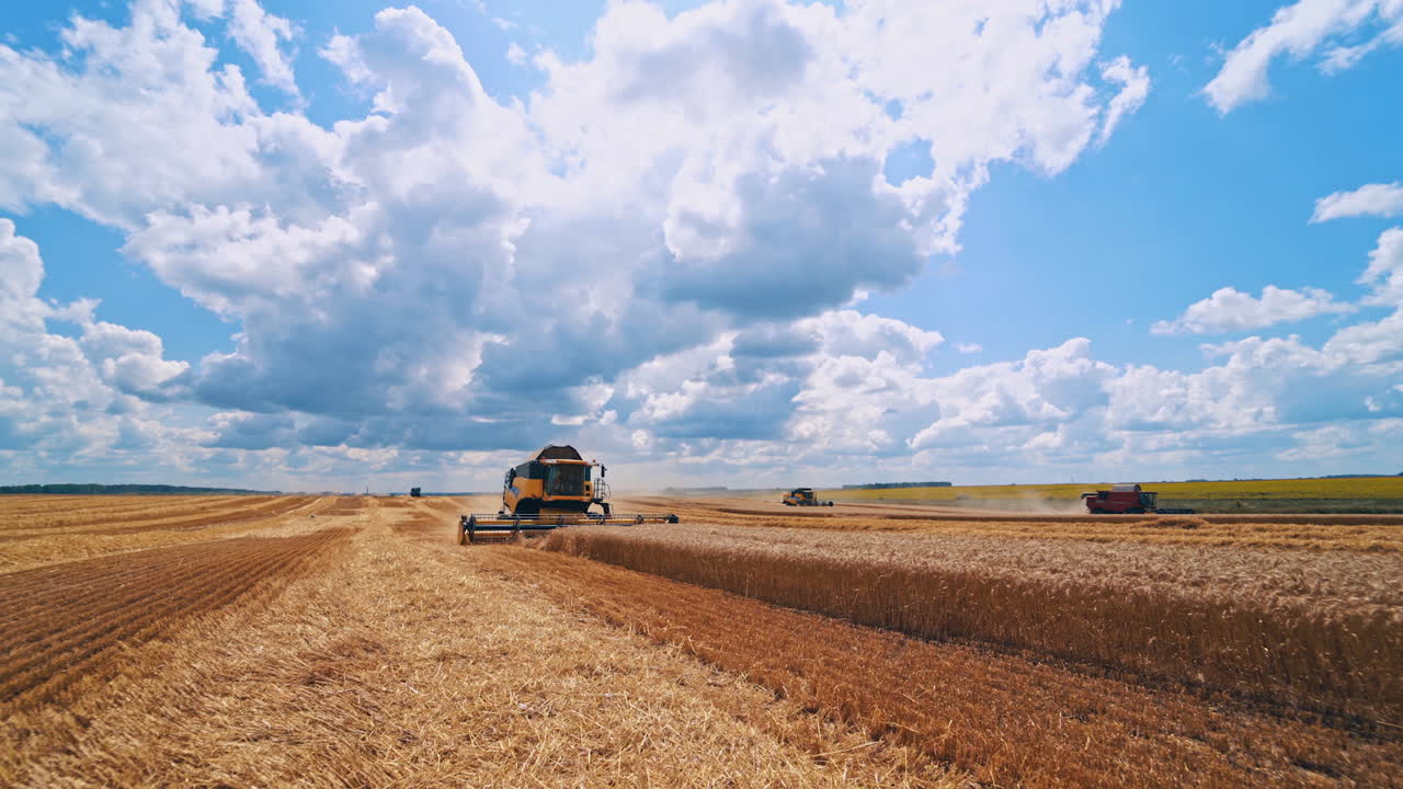 Harvesting crop on the field. Modern agricultural machinery gathering ripe wheat in summer season. Combine harvester at seasonal works.