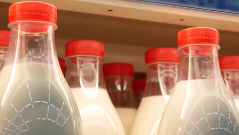 close-up of many beautiful milk bottles with red caps on a supermarket fridge shelf and a male buyer takes one