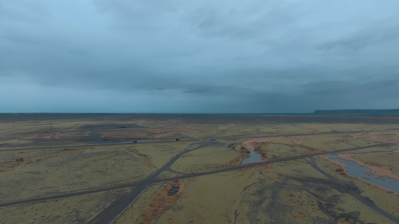 paisaje de islandia con hierba, musgo y líquene creciendo sobre la arena negra de basalto - paso aéreo a gran altitud