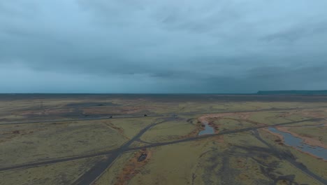 paisaje de islandia con hierba, musgo y líquene creciendo sobre la arena negra de basalto - paso aéreo a gran altitud