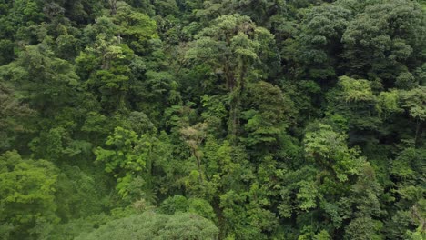 The-national-park-in-Costa-Rica,-flying-over-the-trees