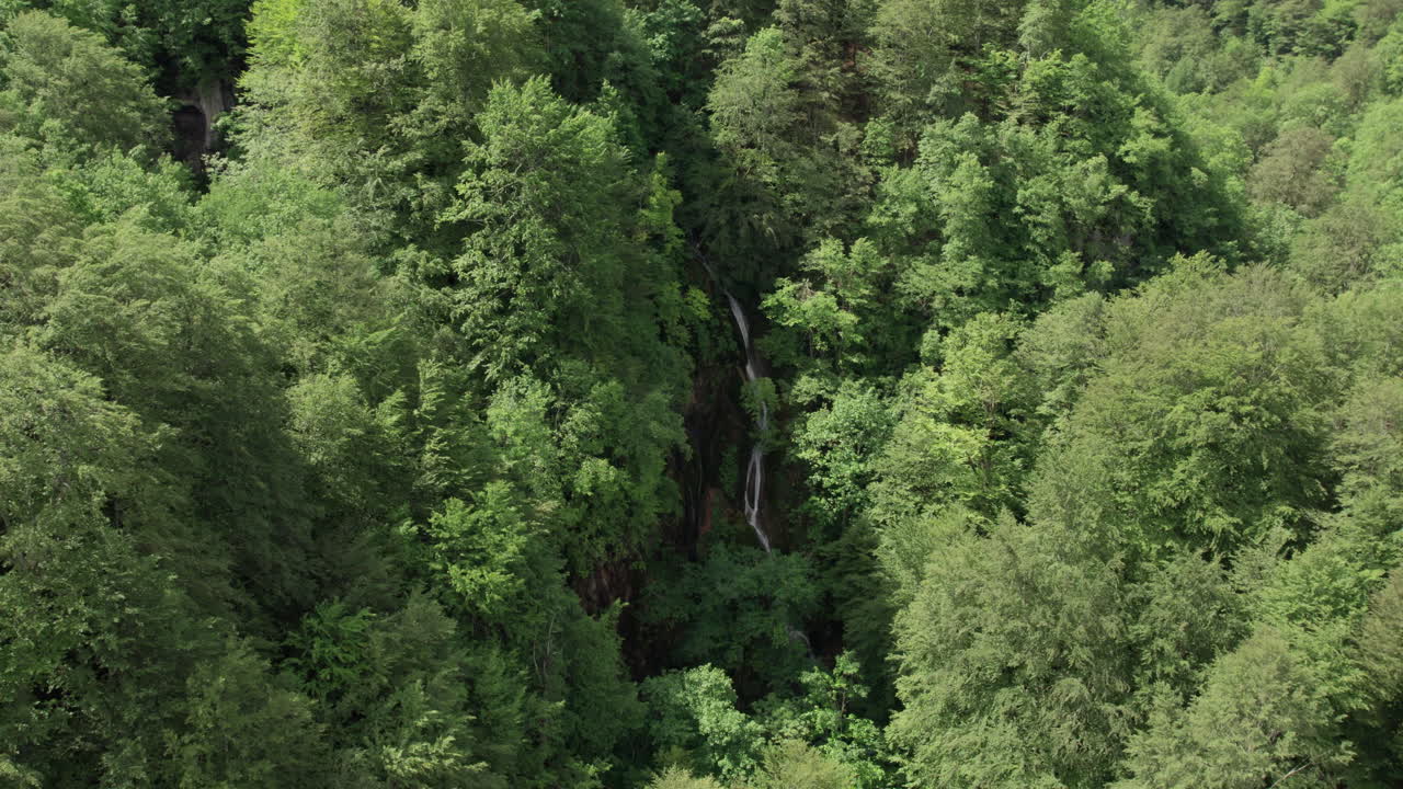 Wide aerial shot showing a waterfall flowing through dense green forest in untouched mountain wilderness