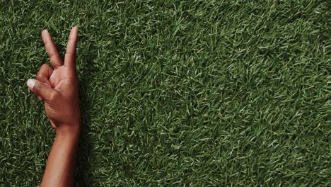 close up of hand of biracial man showing peace sign with copy space on grass background