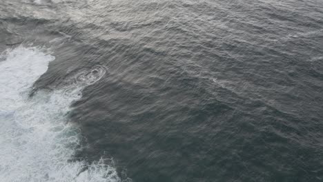 Calm-sea-waves-of-Sydney,-Australia--aerial-slowmo