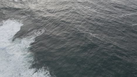 calm sea waves of sydney, australia -aerial slowmo