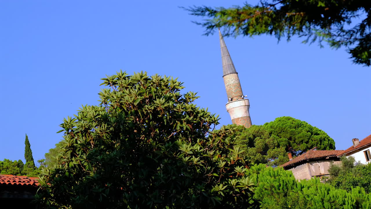 минарет мечети среди деревьев