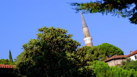 the mosque minaret among trees