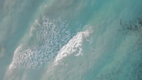 Tomas-Aéreas-De-Arriba-Hacia-Abajo-De-Olas-Rodando-En-Un-Océano-Azul-Cristalino-En-Cancún,-México