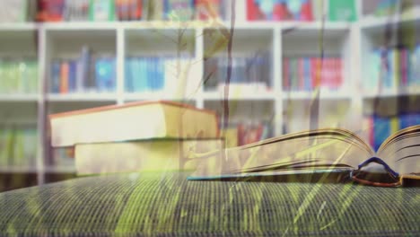 animación de la hierba sobre los libros en la biblioteca
