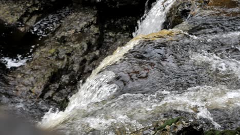fotografía macro de una cascada resistente natural que se vierte sobre rocas marrones y cae en cascada por el río de montaña en un entorno exterior resistente