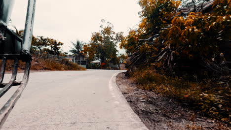 cinematic shot out of a tuk tuk car in the philippines with orange leaves along the road, slomo