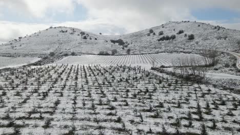 low level drone aerial view pulling back, snow covered mountain and farmlands, israel