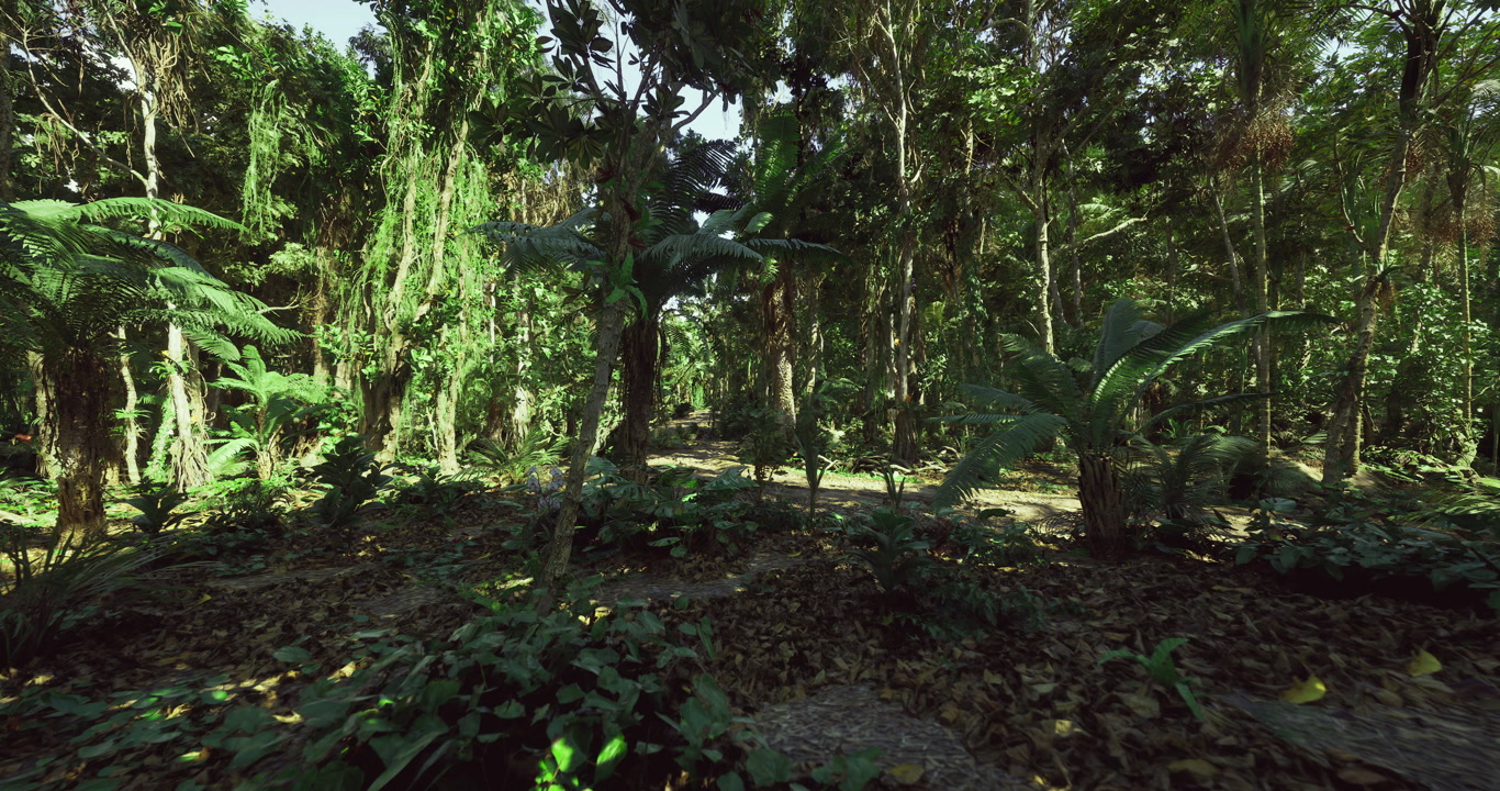 Peaceful forest opening filled with lush greenery and sunlight