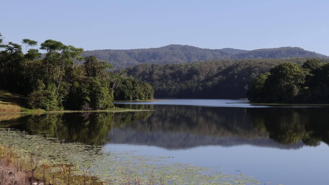 나무와 하늘을 반영하는 평온한 물