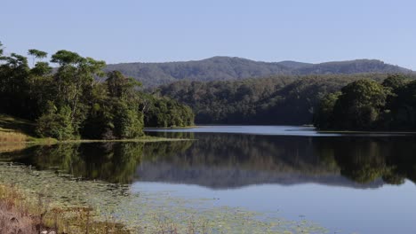 agua tranquila que refleja los árboles y el cielo