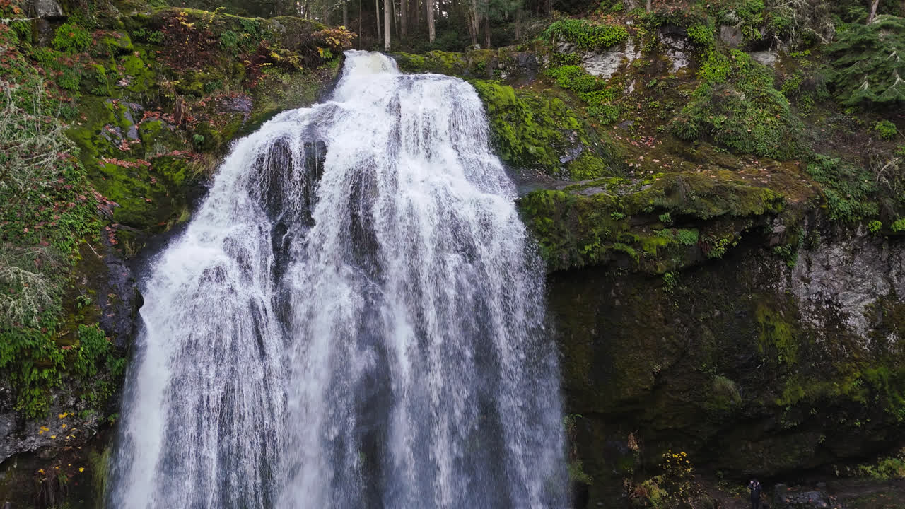 Waterfall in forest in the pacific northwest