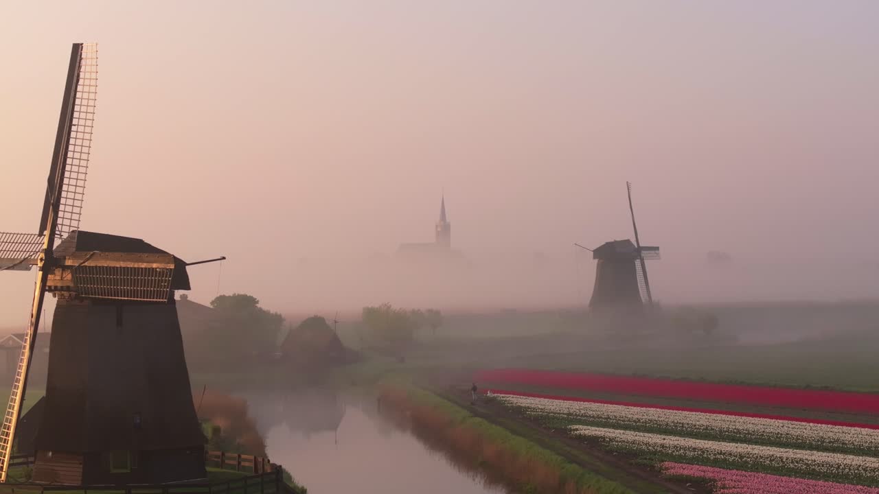 Vista aerea di una chiesa di campagna e campi di tulipani avvolti nella nebbia mattutina