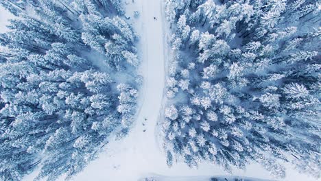 Aerial-take-angled-down-showing-cross-country-skiers-in-frosty-climate